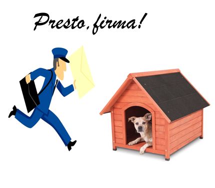 amazon libro