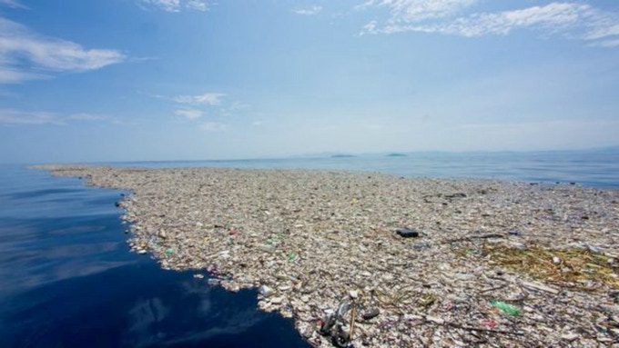 disastro plastica